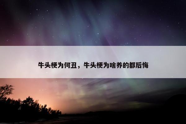 牛头梗为何丑，牛头梗为啥养的都后悔