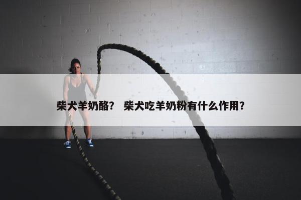 柴犬羊奶酪？ 柴犬吃羊奶粉有什么作用？