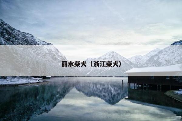 丽水柴犬（浙江柴犬）