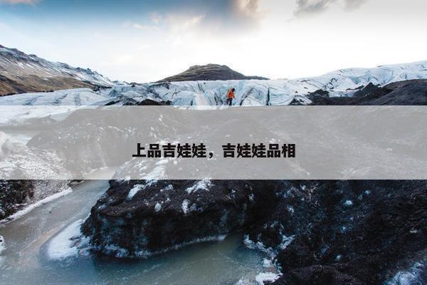 上品吉娃娃，吉娃娃品相