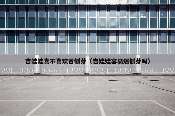 吉娃娃喜不喜欢冒侧芽（吉娃娃容易爆侧芽吗）