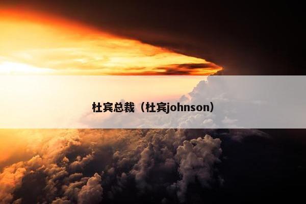 杜宾总裁（杜宾johnson）