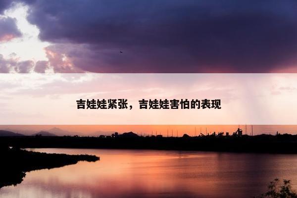 吉娃娃紧张，吉娃娃害怕的表现