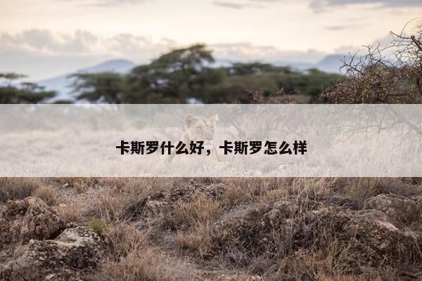 卡斯罗什么好，卡斯罗怎么样