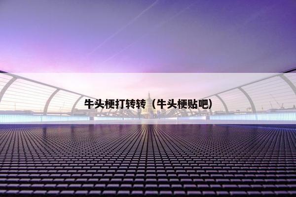 牛头梗打转转（牛头梗贴吧）