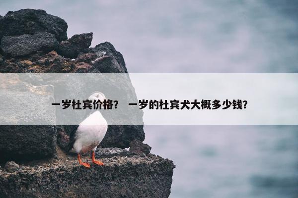 一岁杜宾价格？ 一岁的杜宾犬大概多少钱？