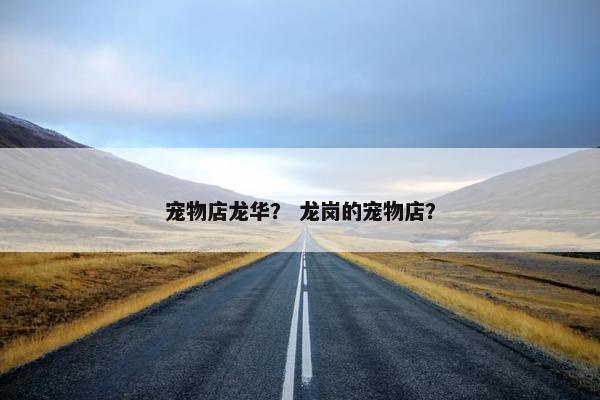 宠物店龙华？ 龙岗的宠物店？
