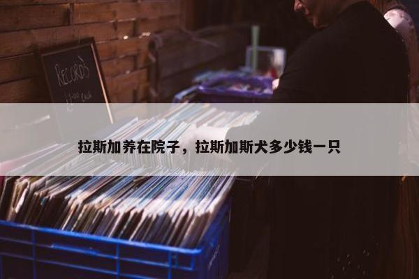 拉斯加养在院子，拉斯加斯犬多少钱一只