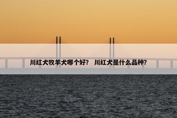 川红犬牧羊犬哪个好？ 川红犬是什么品种？