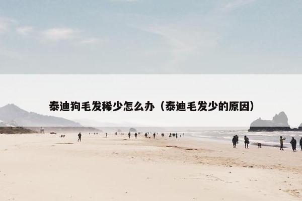 泰迪狗毛发稀少怎么办（泰迪毛发少的原因）