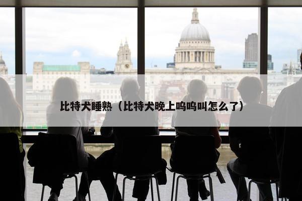 比特犬睡熟（比特犬晚上呜呜叫怎么了）
