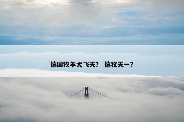 德国牧羊犬飞天？ 德牧天一？