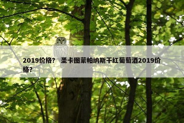 2019价格？ 圣卡图蒙帕纳斯干红葡萄酒2019价格？