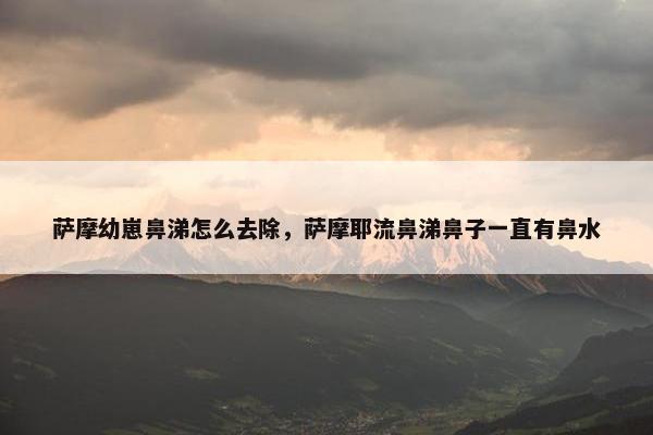 萨摩幼崽鼻涕怎么去除，萨摩耶流鼻涕鼻子一直有鼻水
