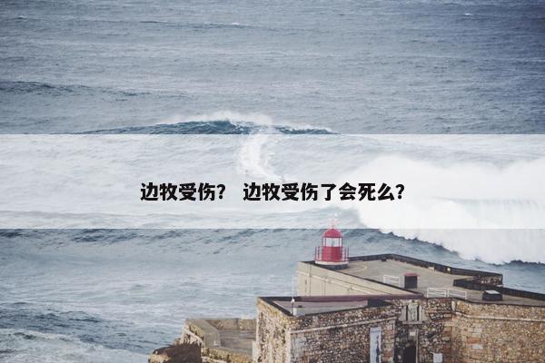 边牧受伤？ 边牧受伤了会死么？