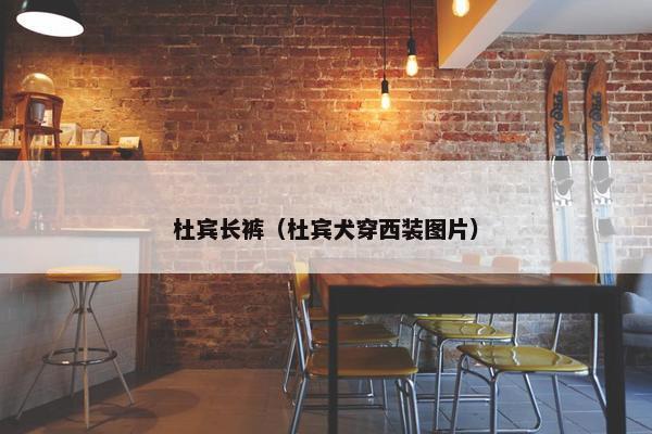 杜宾长裤（杜宾犬穿西装图片）