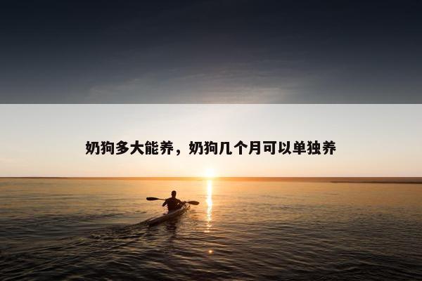 奶狗多大能养，奶狗几个月可以单独养