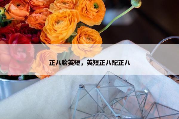 正八脸英短，英短正八配正八