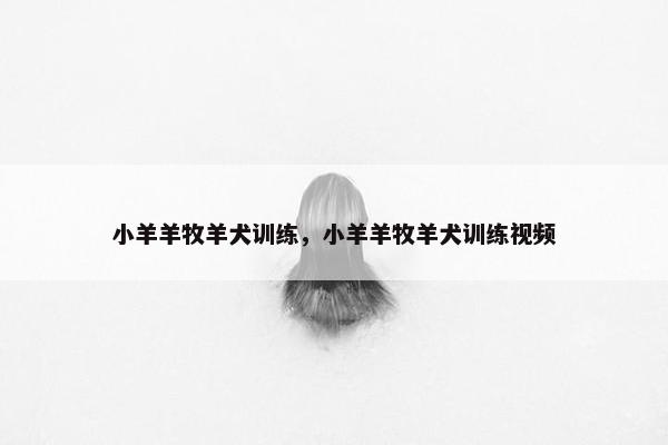 小羊羊牧羊犬训练，小羊羊牧羊犬训练视频