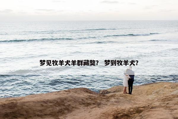 梦见牧羊犬羊群藏獒？ 梦到牧羊犬？