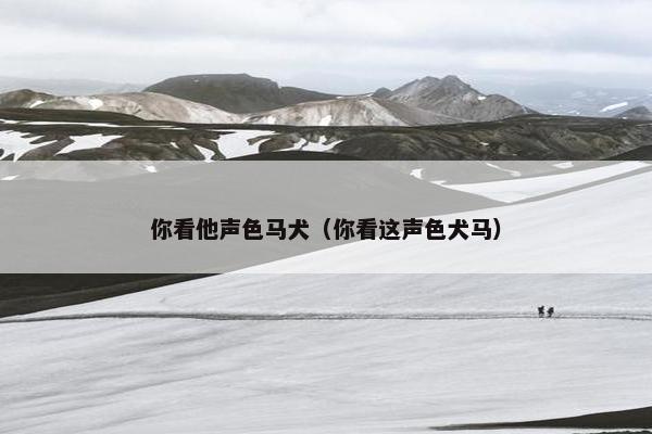 你看他声色马犬（你看这声色犬马）