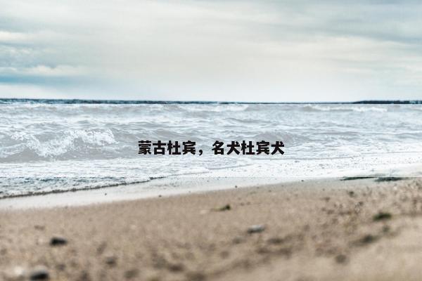 蒙古杜宾，名犬杜宾犬