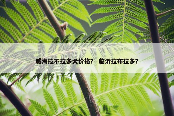 威海拉不拉多犬价格？ 临沂拉布拉多？
