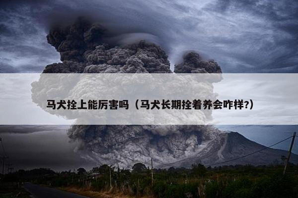 马犬拴上能厉害吗（马犬长期拴着养会咋样?）