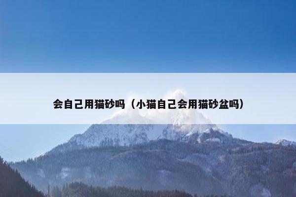 会自己用猫砂吗（小猫自己会用猫砂盆吗）