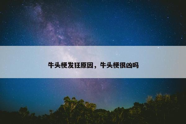 牛头梗发狂原因，牛头梗很凶吗