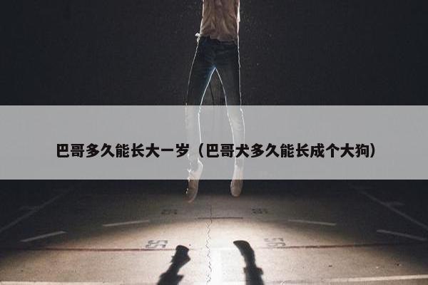 巴哥多久能长大一岁（巴哥犬多久能长成个大狗）