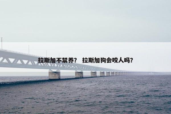 拉斯加不禁养？ 拉斯加狗会咬人吗？
