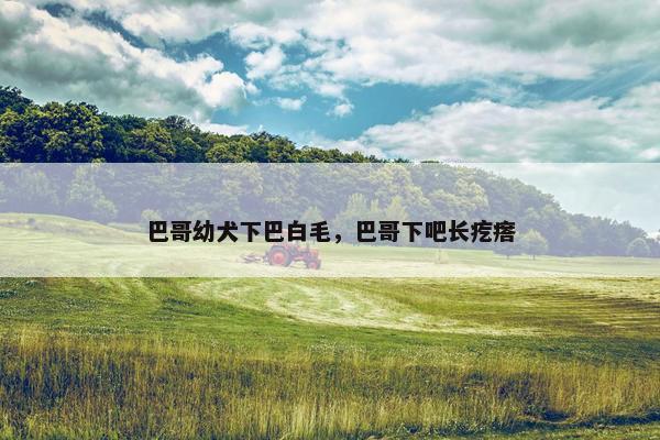 巴哥幼犬下巴白毛，巴哥下吧长疙瘩