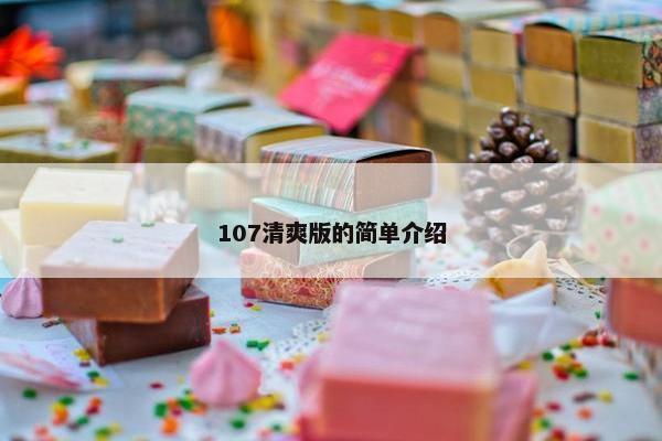 107清爽版的简单介绍