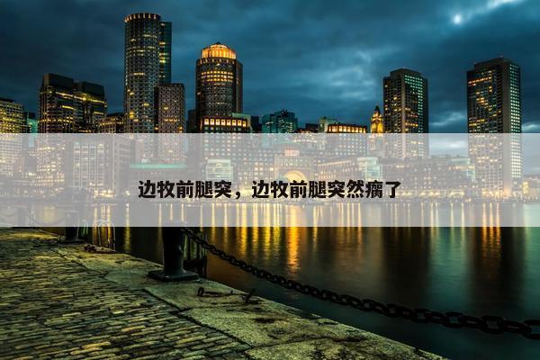 边牧前腿突，边牧前腿突然瘸了