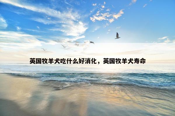 英国牧羊犬吃什么好消化，英国牧羊犬寿命