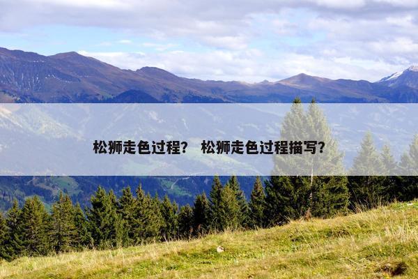 松狮走色过程？ 松狮走色过程描写？