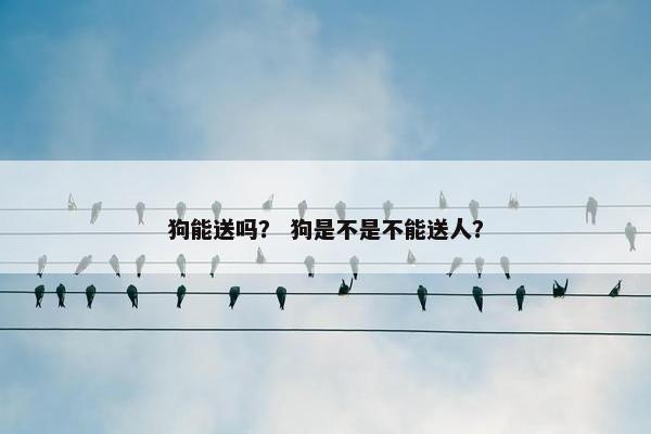 狗能送吗？ 狗是不是不能送人？