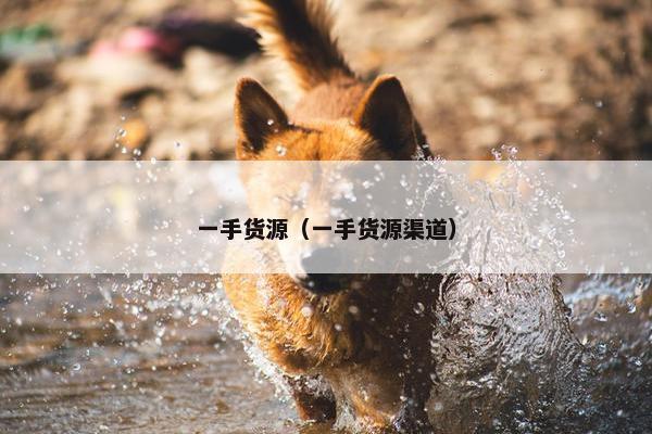 一手货源（一手货源渠道）