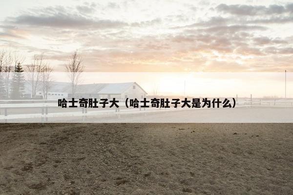 哈士奇肚子大（哈士奇肚子大是为什么）