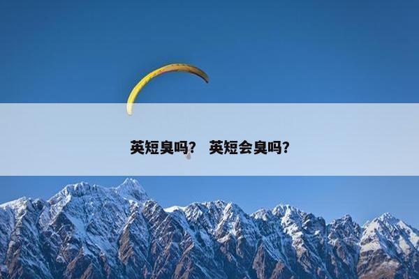 英短臭吗？ 英短会臭吗？