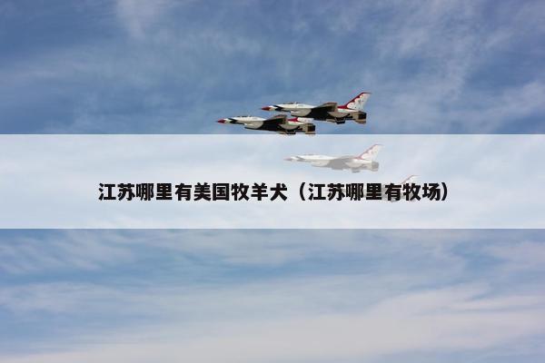 江苏哪里有美国牧羊犬（江苏哪里有牧场）