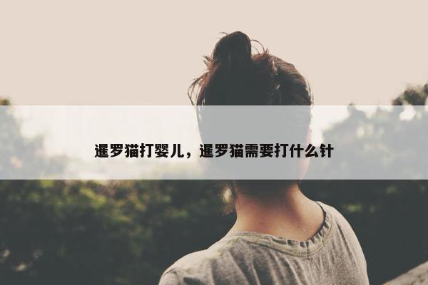 暹罗猫打婴儿，暹罗猫需要打什么针