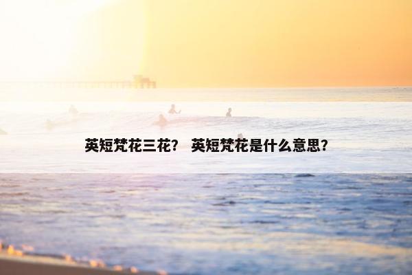英短梵花三花？ 英短梵花是什么意思？
