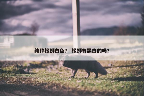 纯种松狮白色？ 松狮有黑白的吗？