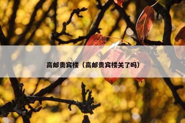 高邮贵宾楼（高邮贵宾楼关了吗）