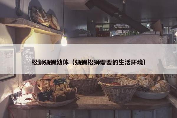 松狮蜥蜴幼体（蜥蜴松狮需要的生活环境）