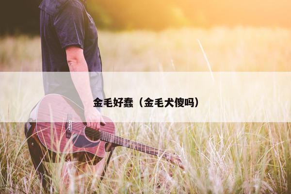 金毛好蠢（金毛犬傻吗）