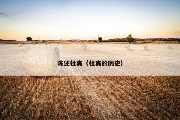 陈述杜宾（杜宾的历史）