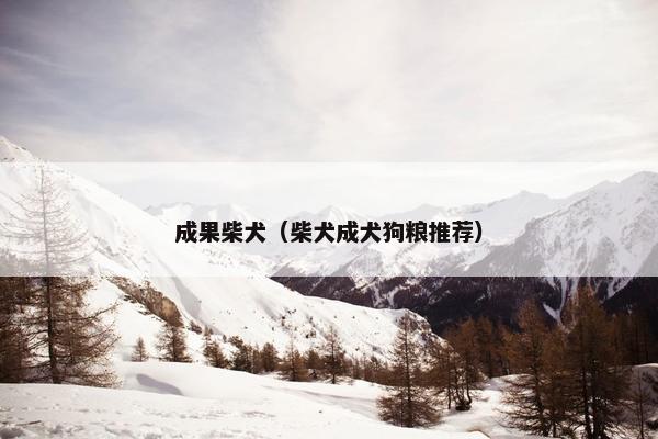 成果柴犬（柴犬成犬狗粮推荐）